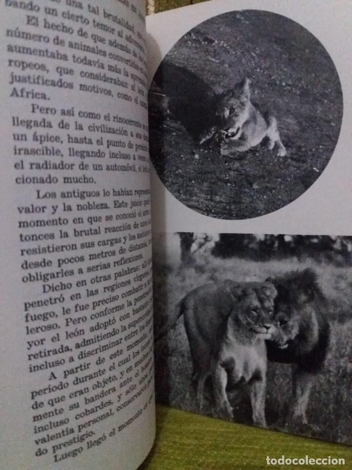Libros de segunda mano: GRANDES CACER&Iacute;AS en &Aacute;frica Central - Foto 9