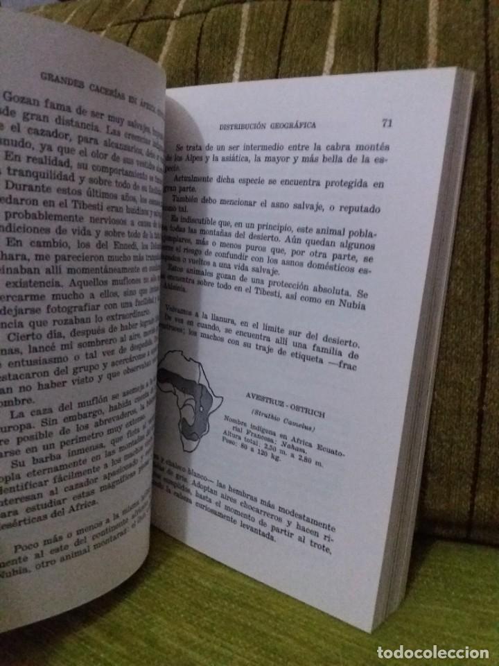 Libros de segunda mano: GRANDES CACER&Iacute;AS en &Aacute;frica Central - Foto 10