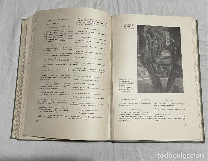 Libros de segunda mano: NOEL CLARASO . EL LIBRO DE LOS JARDINES . BARCELONA , GILLI , 1946 . - Foto 8