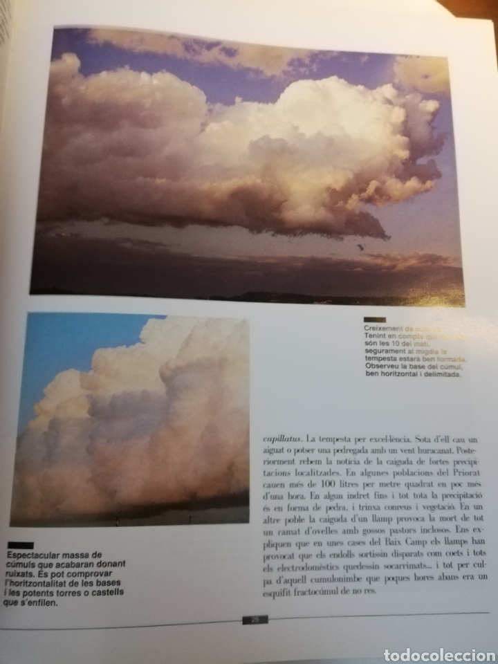 Libros de segunda mano: OBSERVANT EL TEMPS (ALFRED RODR&Iacute;GUEZ PIC&Oacute;) - Foto 12