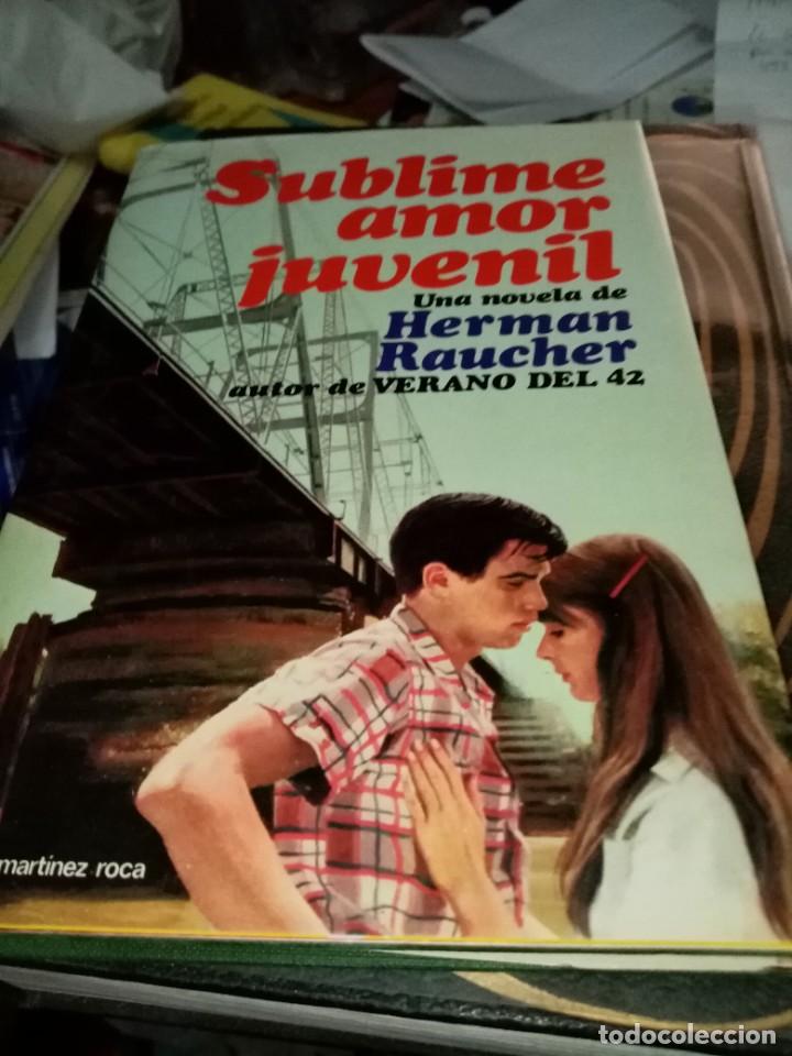 Libros de segunda mano: SUBLIME AMOR JUVENIL. UNA NOVELA DE HERMAN RAUCHE. EST28B2 - Foto 1