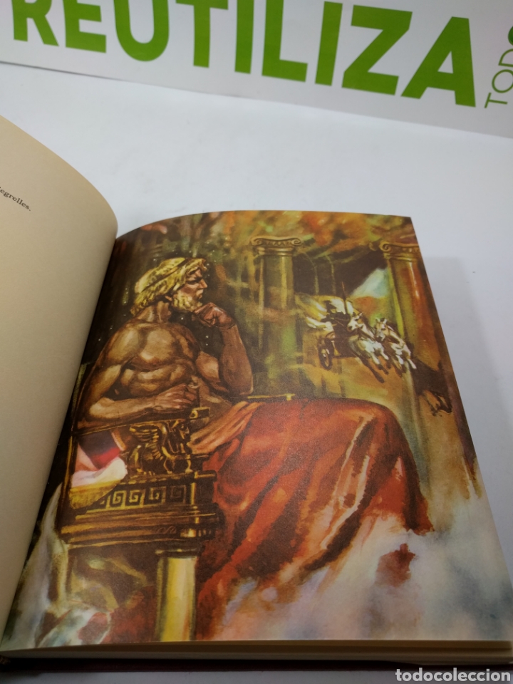 Libros de segunda mano: La Il&iacute;ada. Homero. Auriga serie. - Foto 5