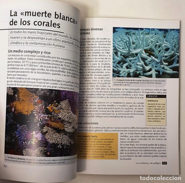 Libros de segunda mano: RIESGOS ECOLOGICOS. &iquest;UNA AMENAZA EVITABLE? LAROUSSE 2004. - Foto 4