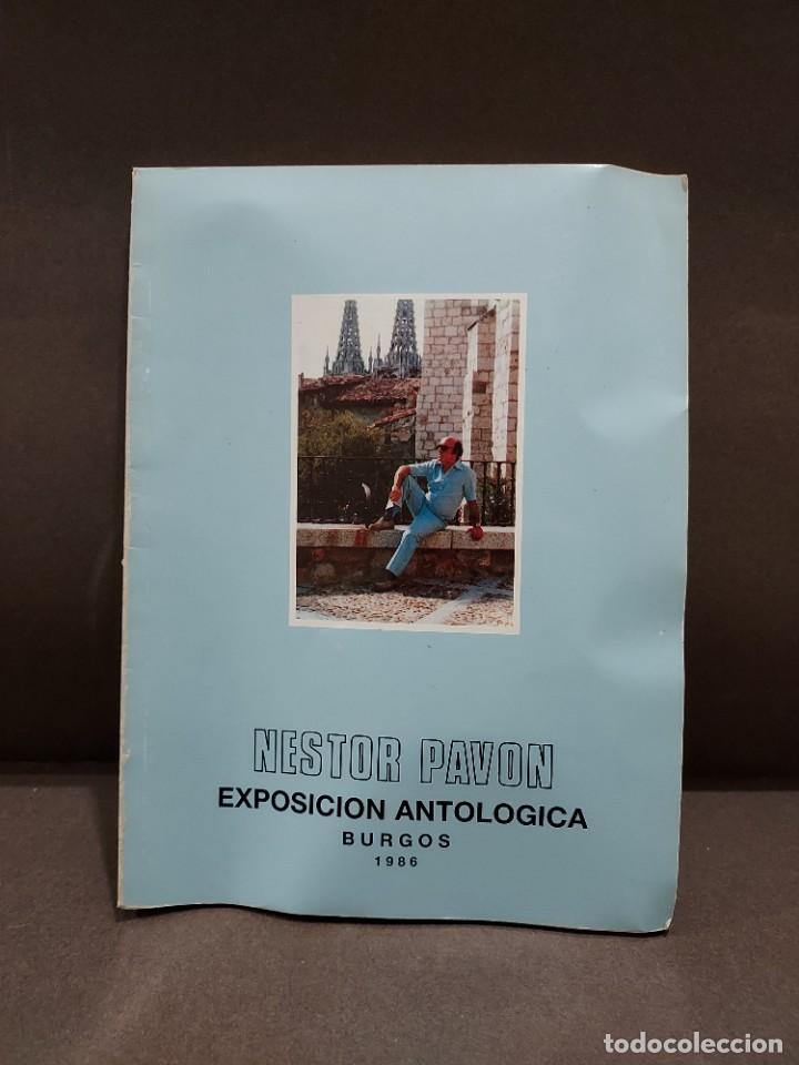 Libros de segunda mano: NESTOR PAVON.....EXPOSICION ANTOLOGICA....BURGOS...1986...