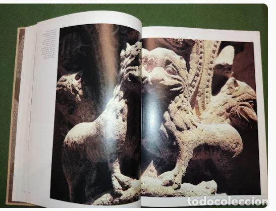 Libros de segunda mano: EL LLIBRE DE LES B&Egrave;STIES-XAVIER F&Agrave;BREGAS - Foto 5