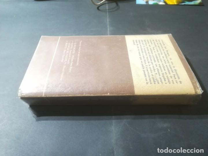 Libros de segunda mano: AVENIDA DEL PARQUE 79 / HAROLD ROBBINS / MANANTIAL / AN35 - Foto 2