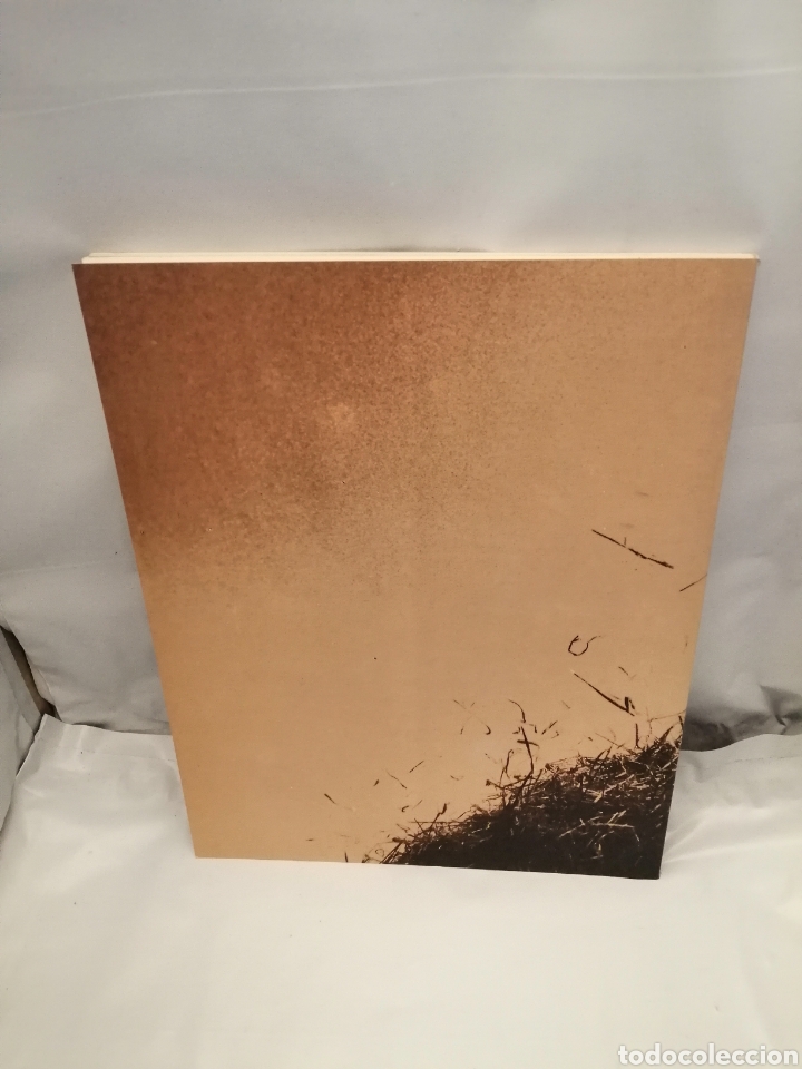 Libros de segunda mano: CALIMA. BLANCA CALVO, COMPA&Ntilde;&Iacute;A DE DANZA - Foto 2