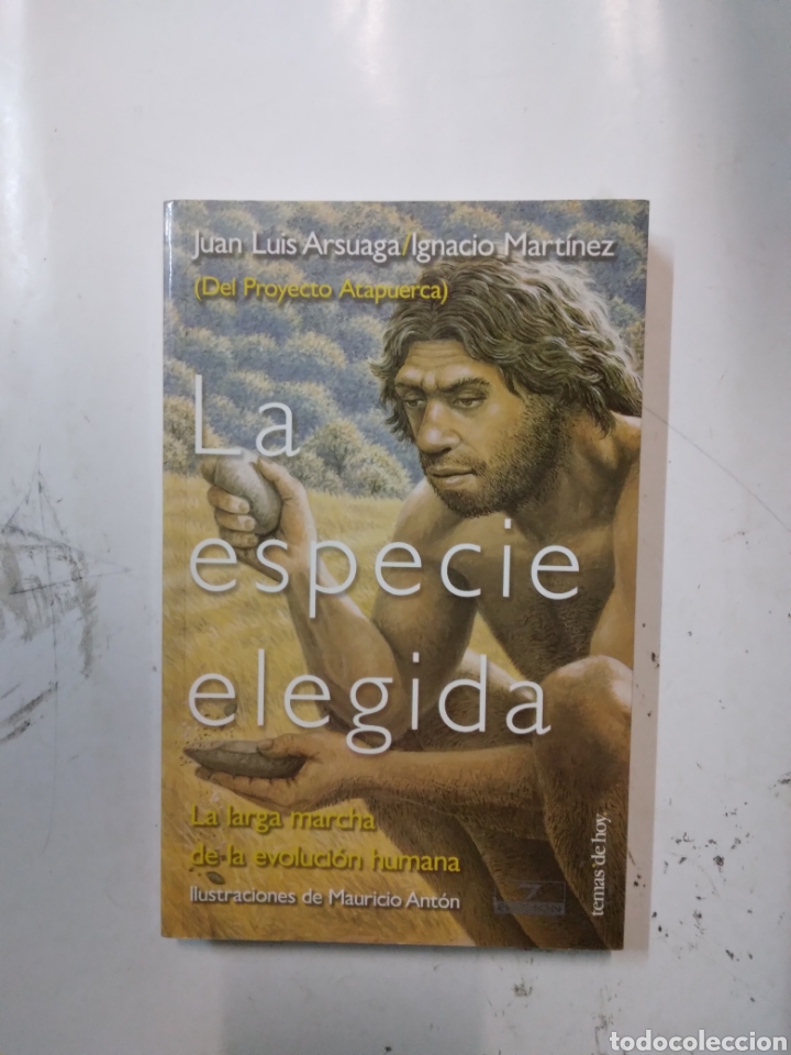 Libros de segunda mano: Jos&eacute; Luis Arsuaga, La especie elegida,Temas de Hoy - Foto 1