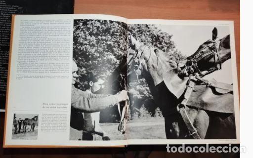 Libros de segunda mano: ALEGRIAS DEL CABALLO-Comandante Benoitst-Gironi&egrave;re - Foto 2