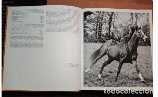 Libros de segunda mano: ALEGRIAS DEL CABALLO-Comandante Benoitst-Gironi&egrave;re - Foto 3