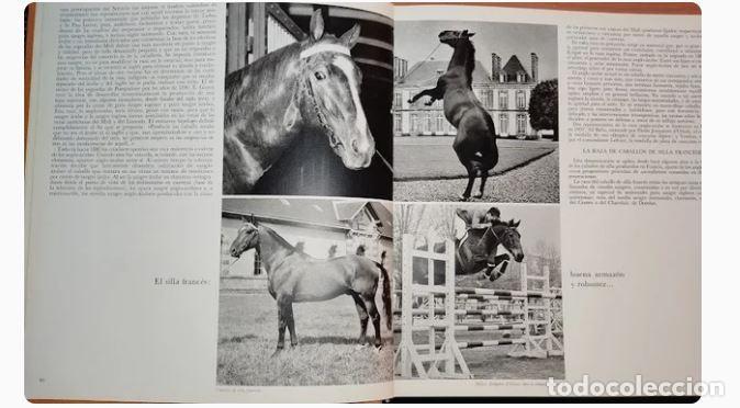 Libros de segunda mano: ALEGRIAS DEL CABALLO-Comandante Benoitst-Gironi&egrave;re - Foto 4