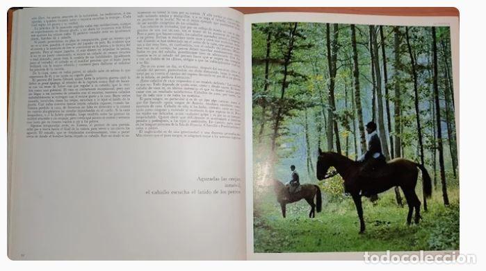 Libros de segunda mano: ALEGRIAS DEL CABALLO-Comandante Benoitst-Gironi&egrave;re - Foto 5