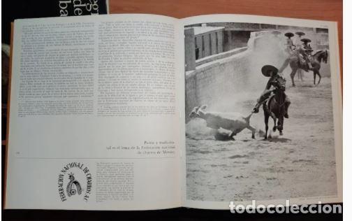 Libros de segunda mano: ALEGRIAS DEL CABALLO-Comandante Benoitst-Gironi&egrave;re - Foto 8