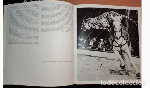 Libros de segunda mano: ALEGRIAS DEL CABALLO-Comandante Benoitst-Gironi&egrave;re - Foto 9