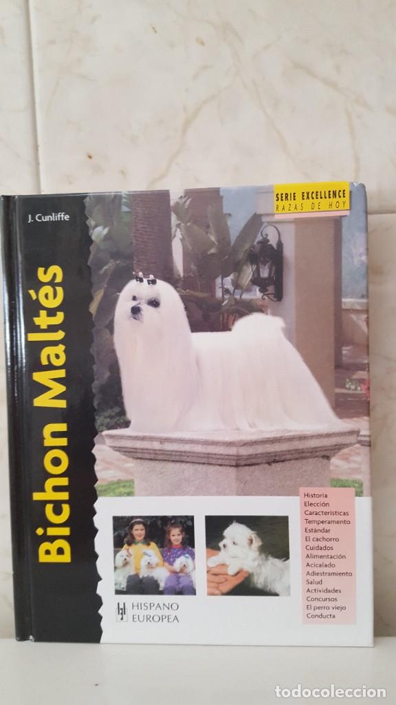 Libros de segunda mano: LIBRO DE PERROS- RAZAS DE HOY- BICHON MALTES - Foto 1