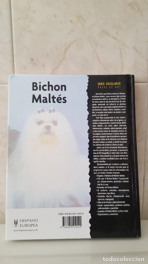 Libros de segunda mano: LIBRO DE PERROS- RAZAS DE HOY- BICHON MALTES - Foto 2
