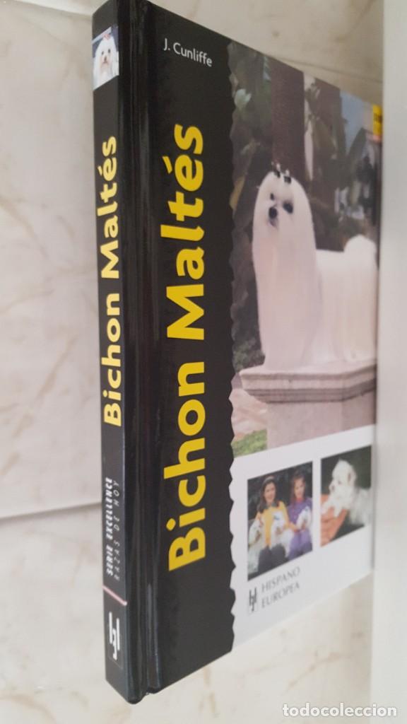 Libros de segunda mano: LIBRO DE PERROS- RAZAS DE HOY- BICHON MALTES - Foto 3