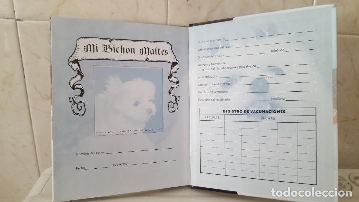 Libros de segunda mano: LIBRO DE PERROS- RAZAS DE HOY- BICHON MALTES - Foto 4