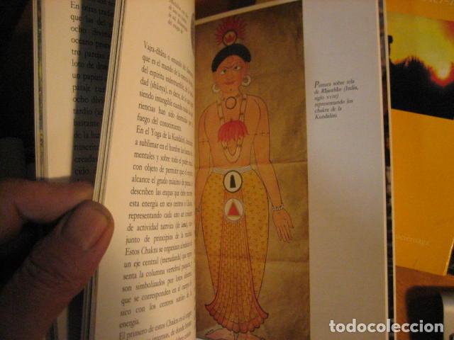 Libros de segunda mano: Los s&iacute;mbolos. El Loto. Louis Fr&eacute;d&eacute;ric. - Foto 4