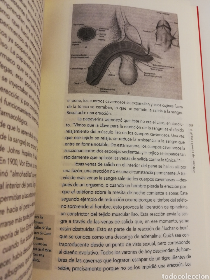 Libros de segunda mano: UNA HISTORIA CULTURAL DEL PENE (DAVID M. FRIEDMAN) - Foto 4