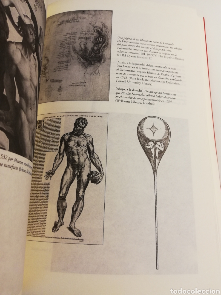 Libros de segunda mano: UNA HISTORIA CULTURAL DEL PENE (DAVID M. FRIEDMAN) - Foto 9