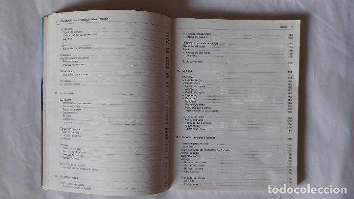 Libros de segunda mano: EQUITACI&Oacute;N CON EL CAPIT&Aacute;N MARK PHILLIPS | MARK PHILLIPS | HISPANO EUROPEA, 1989 - Foto 5