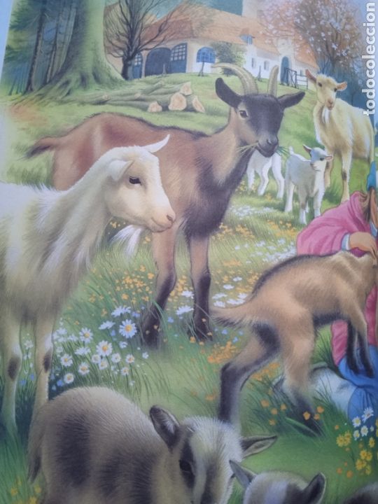 Libros de segunda mano: Gran libro de Historias de animales. Servilibro - Foto 2