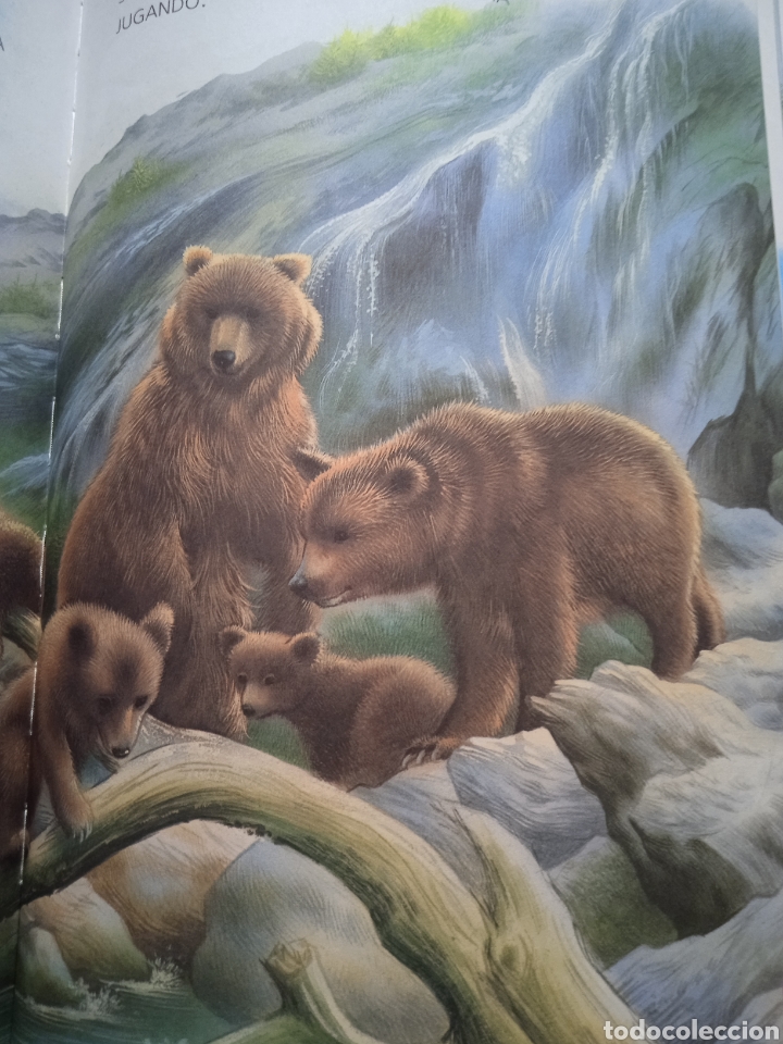 Libros de segunda mano: Gran libro de Historias de animales. Servilibro - Foto 3