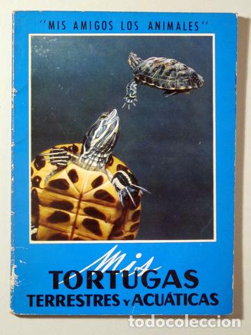 Libros de segunda mano: MIS TORTUGAS - Barcelona 1970 - Ilustrado - Foto 1