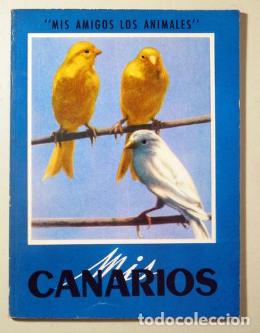 Libros de segunda mano: MIS CANARIOS - Barcelona 1974 - Ilustrado - Foto 1