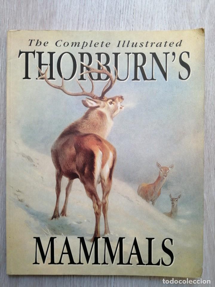 Libros de segunda mano: The complete illustrated Thorburns mammals. Ingl&eacute;s - Foto 1