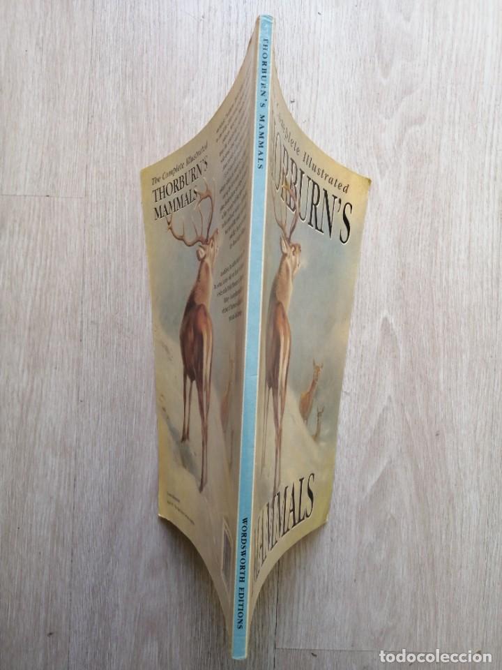 Libros de segunda mano: The complete illustrated Thorburns mammals. Ingl&eacute;s - Foto 2
