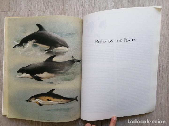 Libros de segunda mano: The complete illustrated Thorburns mammals. Ingl&eacute;s - Foto 5