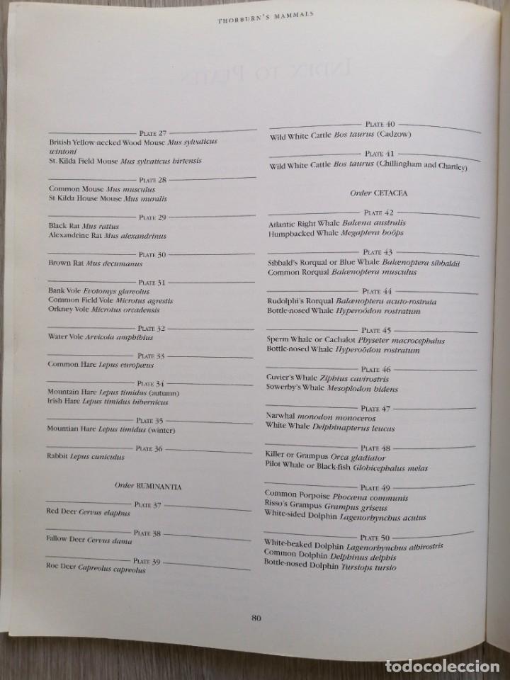 Libros de segunda mano: The complete illustrated Thorburns mammals. Ingl&eacute;s - Foto 7