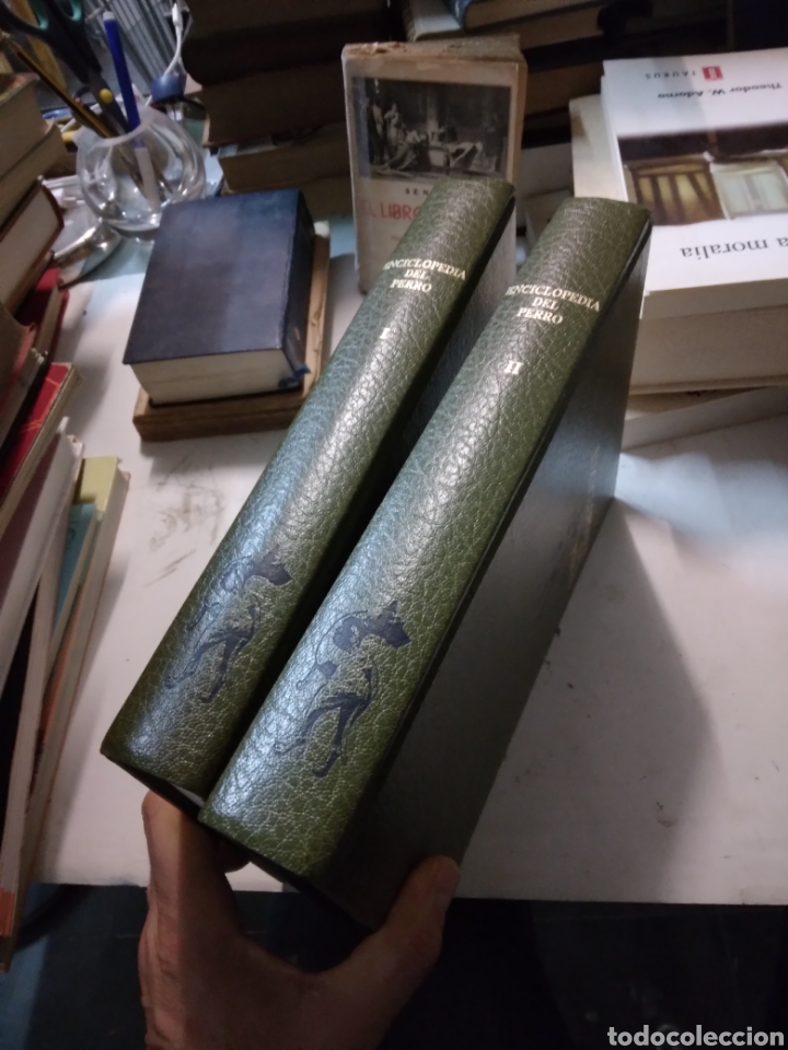 Libros de segunda mano: Enciclopedia del perro, 2 tomos, Ed. URMO,1981 - Foto 2
