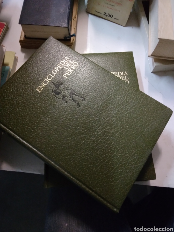 Libros de segunda mano: Enciclopedia del perro, 2 tomos, Ed. URMO,1981 - Foto 1