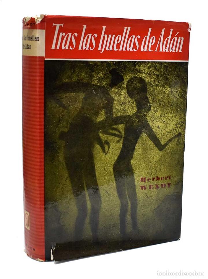 Libros de segunda mano: Tras las huellas de Ad&aacute;n - Herbert Wendt (1&ordf; ed. 1958) - Foto 1