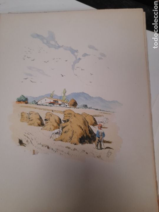 Libros de segunda mano: QUE DIUEN ELS OCELLS, de Verdaguer de 1945 - Foto 3