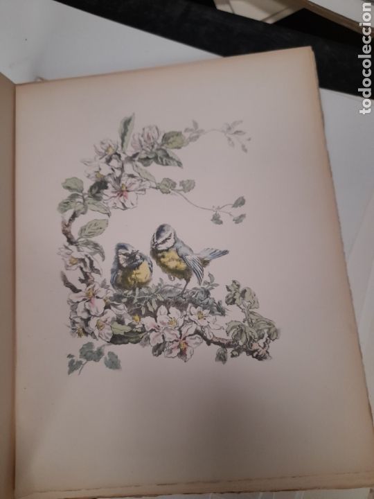 Libros de segunda mano: QUE DIUEN ELS OCELLS, de Verdaguer de 1945 - Foto 4