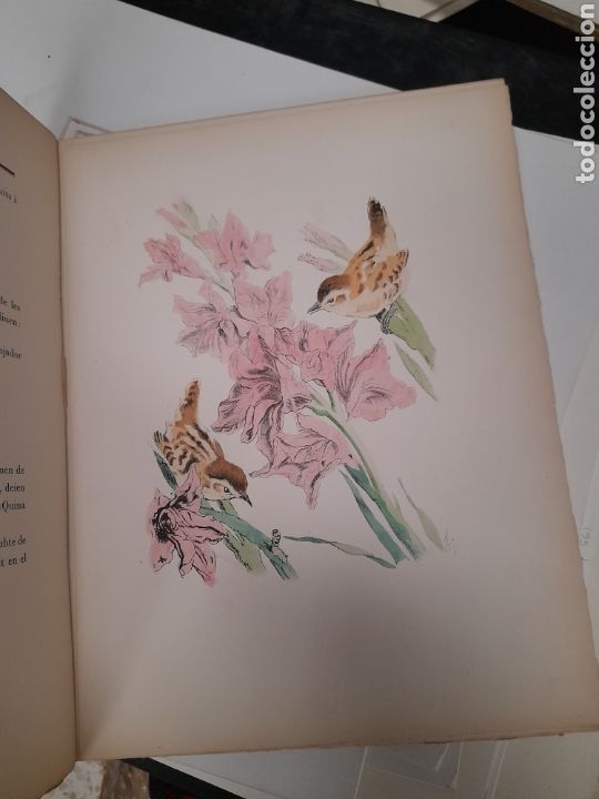 Libros de segunda mano: QUE DIUEN ELS OCELLS, de Verdaguer de 1945 - Foto 5