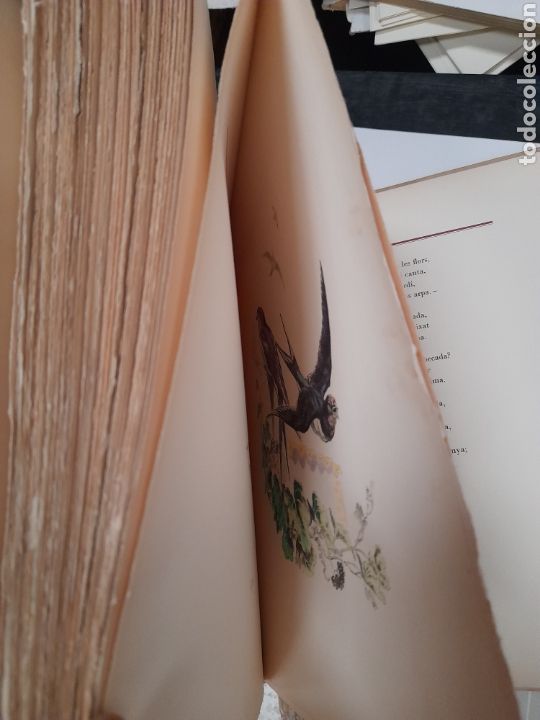 Libros de segunda mano: QUE DIUEN ELS OCELLS, de Verdaguer de 1945 - Foto 7