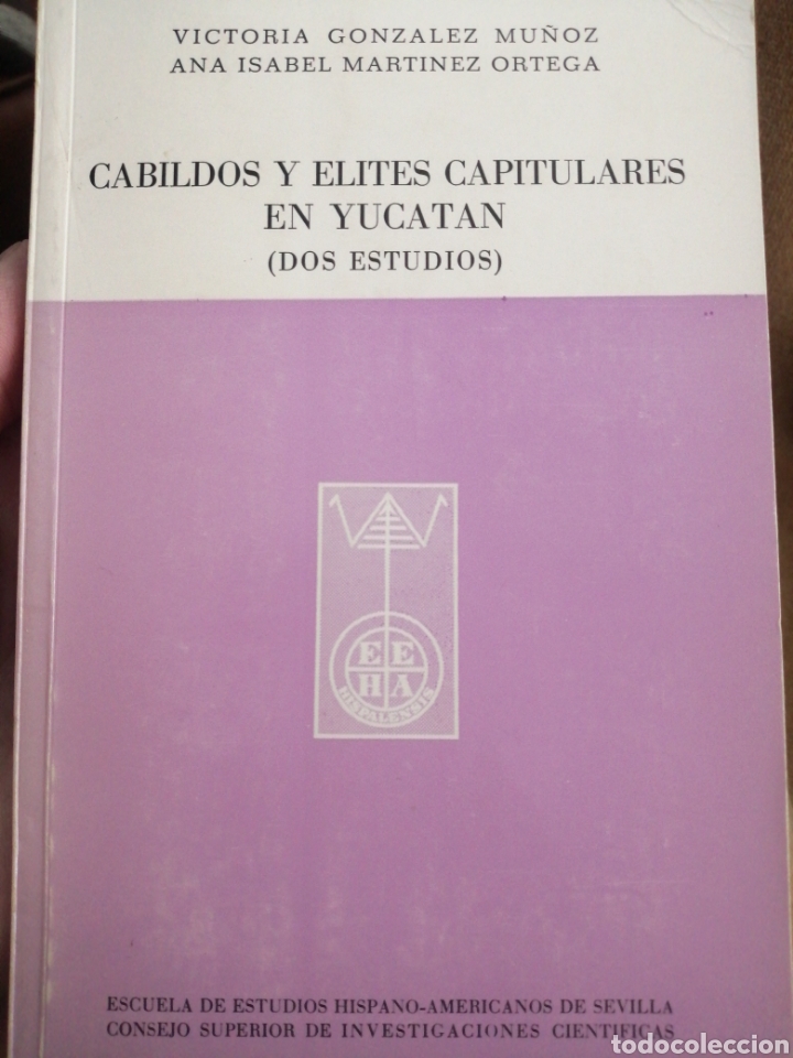 Libros de segunda mano: Cabildos y &eacute;lites capitulares en Yucat&aacute;n (dos estudios) - Foto 1