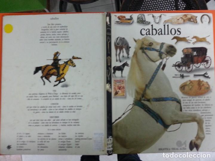 Libros de segunda mano: BIBLIOTECA VISUAL ALTEA - LOTE 3 - Foto 1