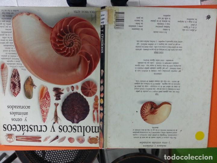 Libros de segunda mano: BIBLIOTECA VISUAL ALTEA - LOTE 3 - Foto 3