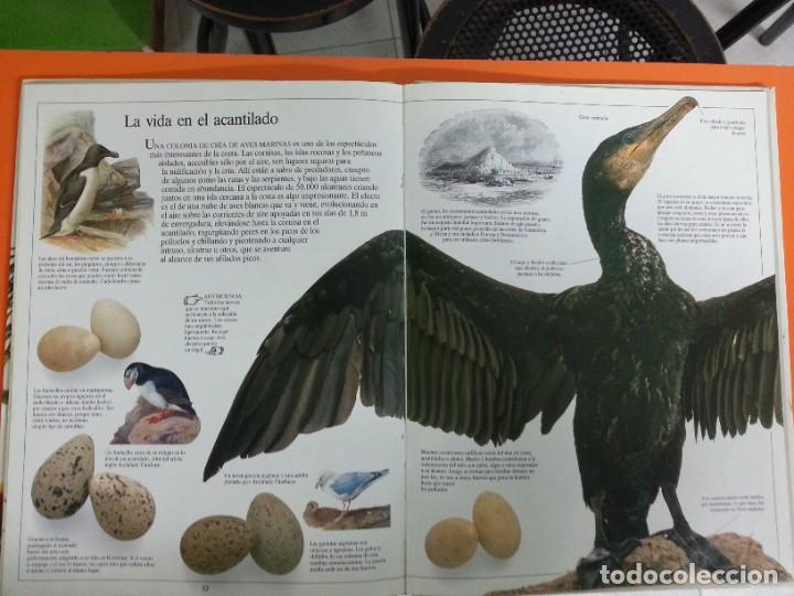 Libros de segunda mano: BIBLIOTECA VISUAL ALTEA - LOTE 3 - Foto 6