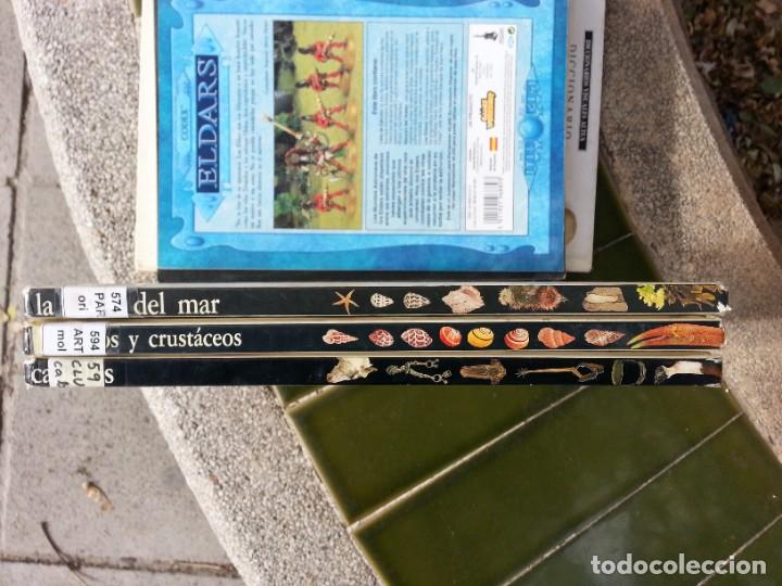 Libros de segunda mano: BIBLIOTECA VISUAL ALTEA - LOTE 3 - Foto 7