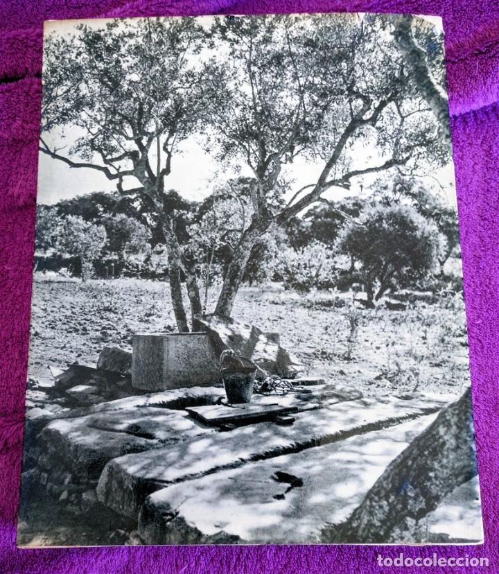 Libros de segunda mano: Fatima, esp&eacute;rance du monde. Gilbert Renault. 1957 - Foto 17