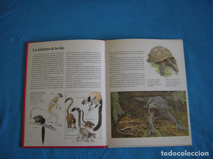 Libros de segunda mano: Los Animales Terrestres. David Cook. ADENA-WWF. - Debate/Circulo - Foto 2