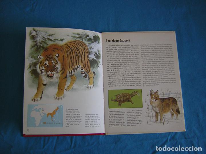 Libros de segunda mano: Los Animales Terrestres. David Cook. ADENA-WWF. - Debate/Circulo - Foto 3