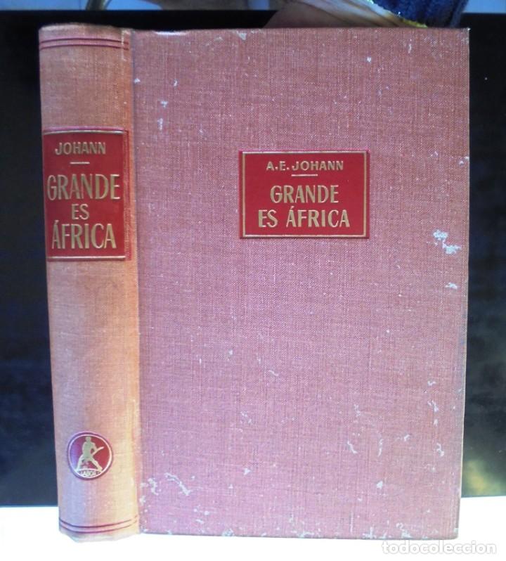 Libros de segunda mano: Grande es &Aacute;frica A. E. Johann 1964 Labor - Foto 1